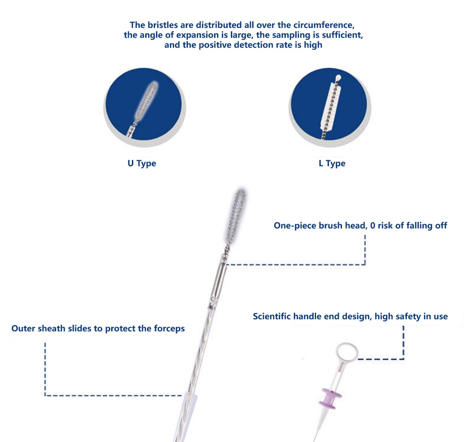 20-01-12_畫板 1.jpg