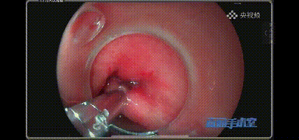 1647478544428312IzJy.gif 7.gif